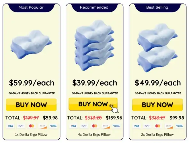 Derila Ergo Pillow Secure Payment &mdash; Official Checkout USA